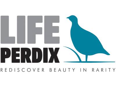 Life Perdix